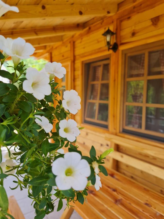 Guest House Rankic موكرا غورا المظهر الخارجي الصورة